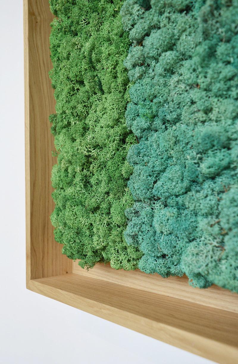 Geometric Framed Moss Wall Art (Series D) - Image 10