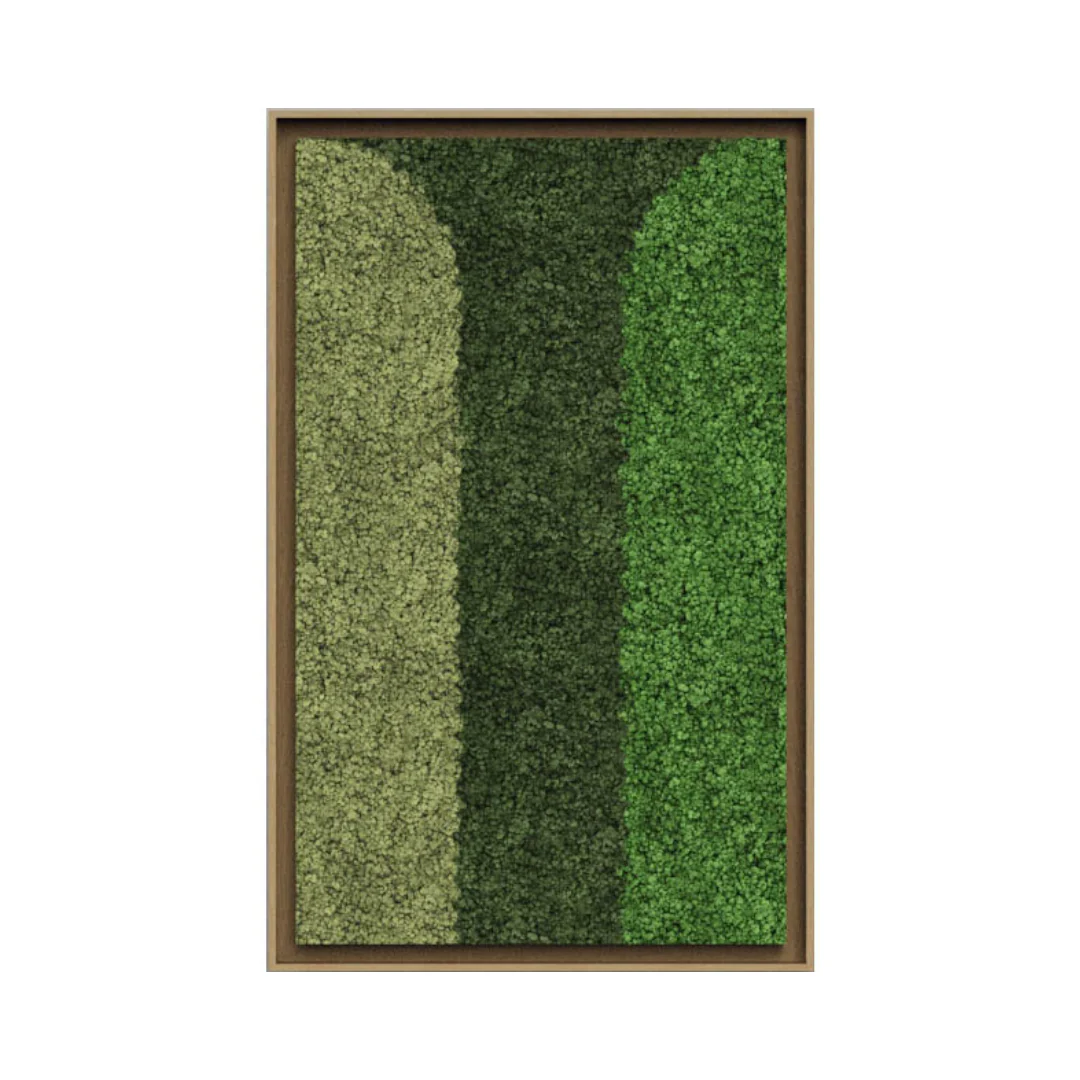 Geometric Framed Moss Wall Art (Series D) - Image 6
