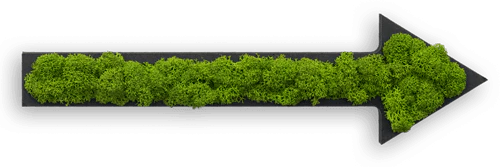 Moss Letters and Symbols Wall Art - Image 9