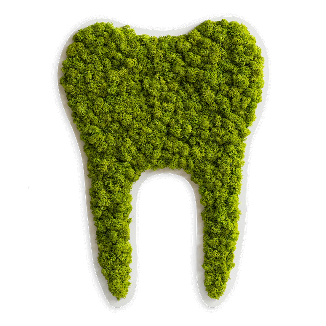 Green Moss Tooth Decor Forest Moss Wall Art - Image 5