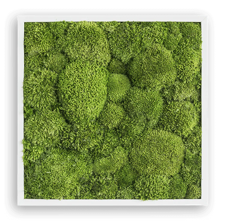 Green Square Moss Art (35cm) - Image 3