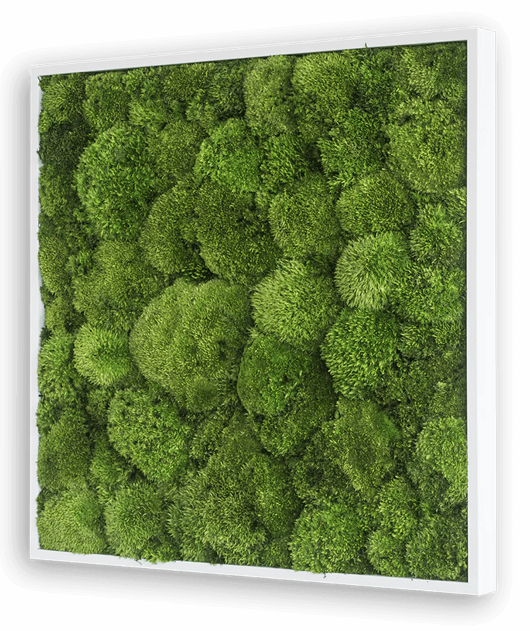 Green Square Moss Art (55cm) - Image 5