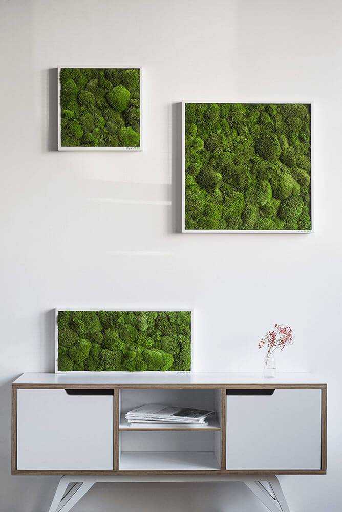 Green Square Moss Art (55cm) - Image 9
