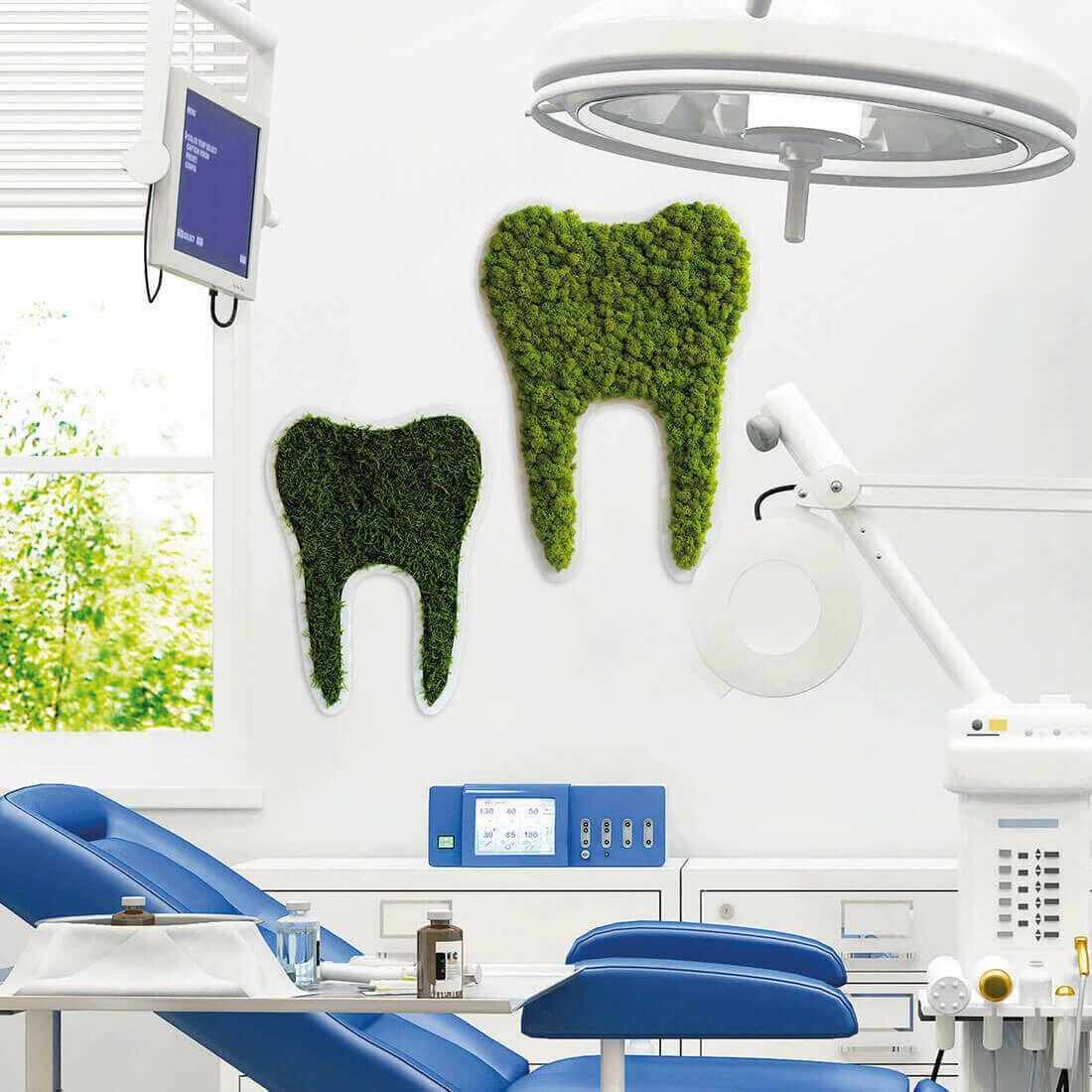 Green Tooth Nordic Moss Decor - Image 4
