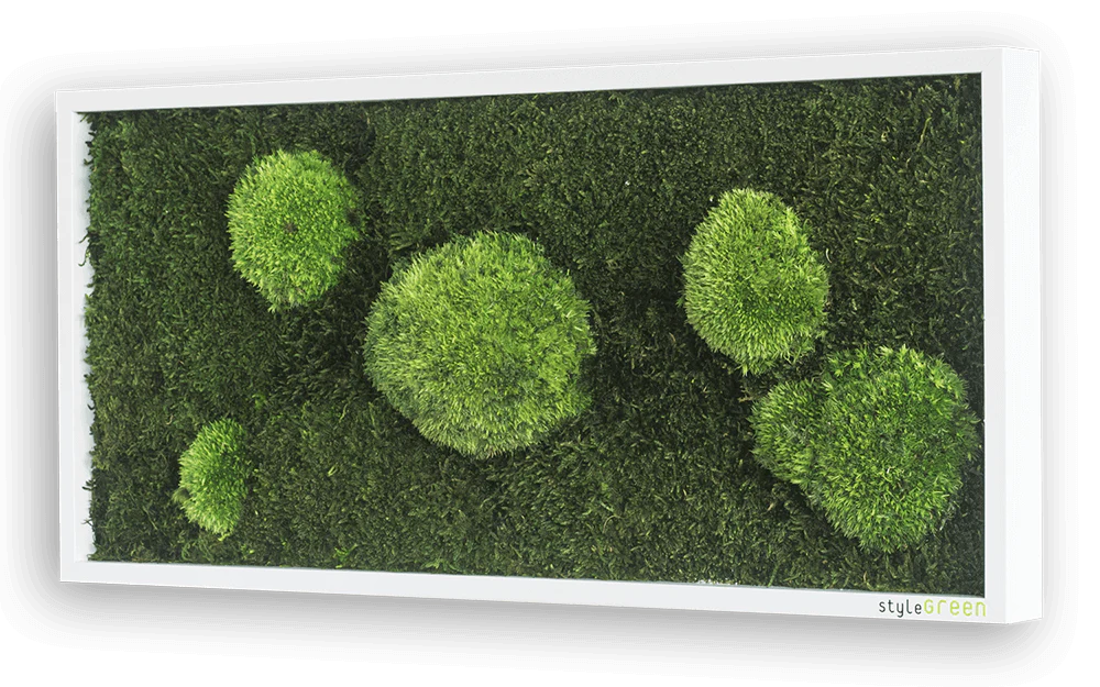 Green Wide Moss Wall Art (57x27 cm) - Image 3
