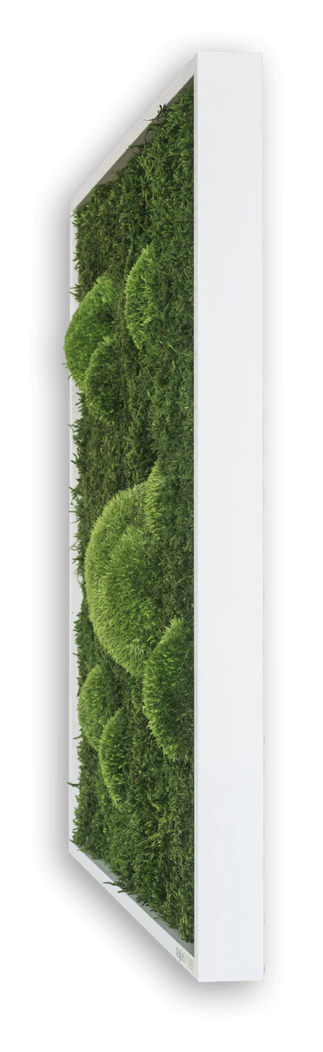 Green Wide Moss Wall Art (57x27 cm) - Image 4