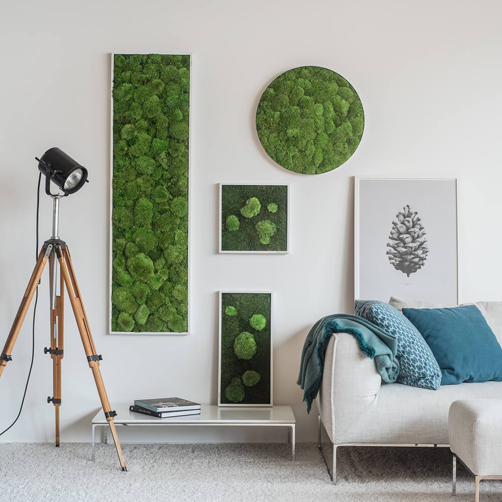 Green Wide Moss Wall Art (57x27 cm) - Image 6