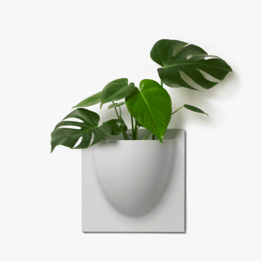 Grey VertiPlant Bio Wall Container - Image 3