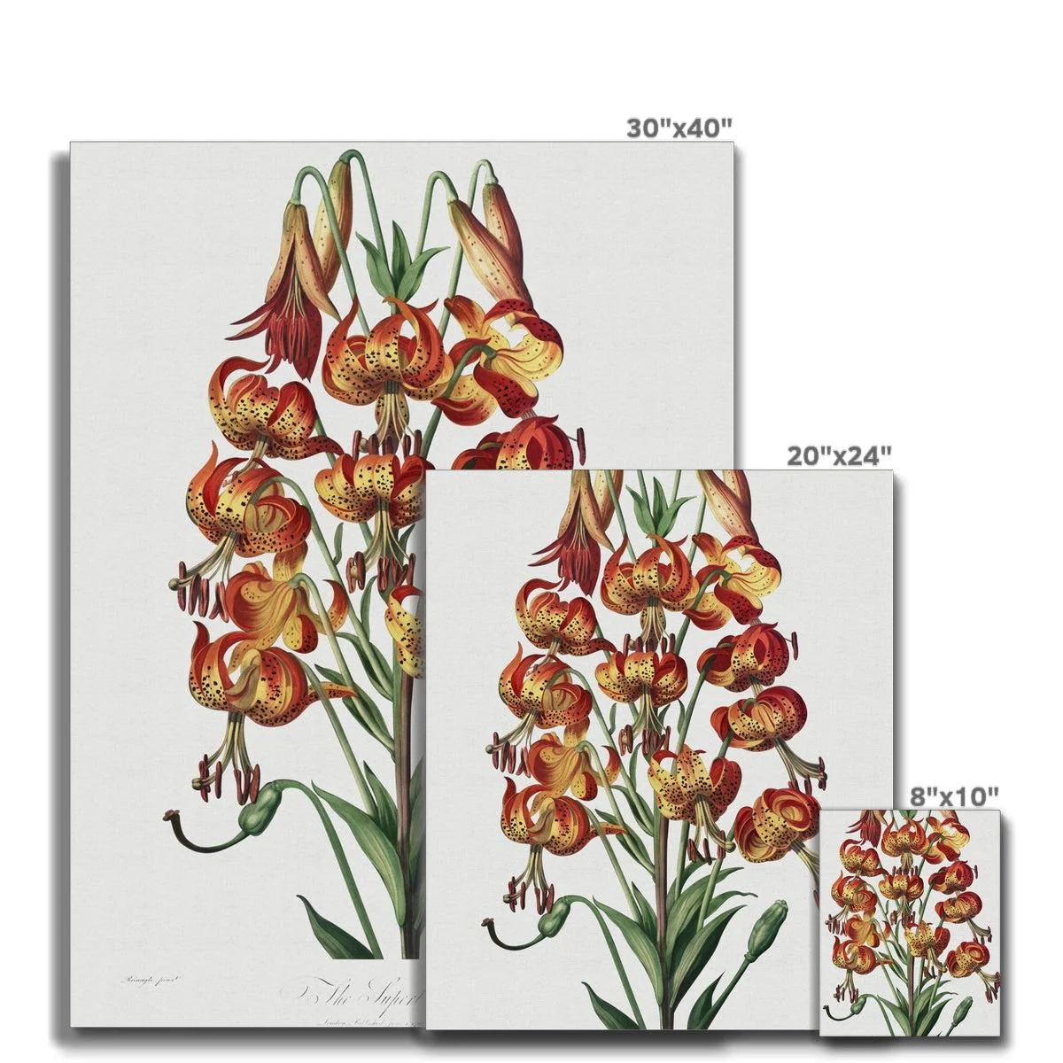 Happy Fuchsia Canvas - Image 10