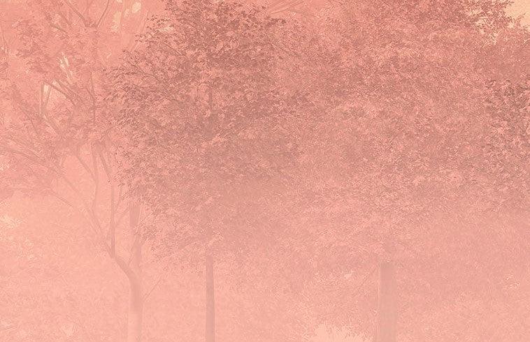 Heartwood Mural Wallpaper - Image 3