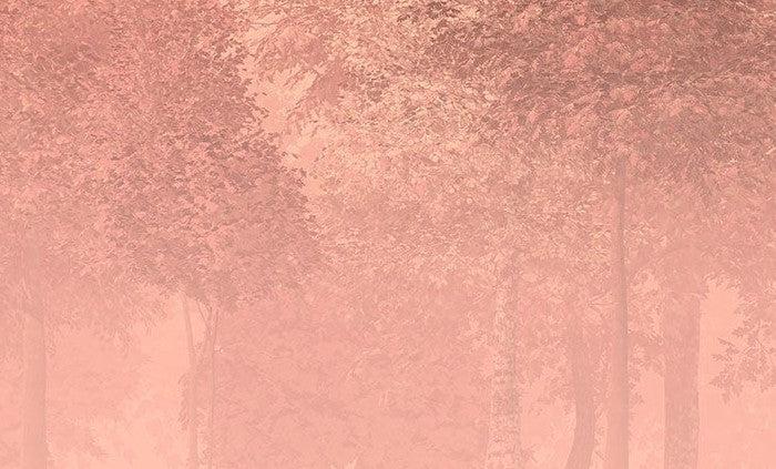 Heartwood Mural Wallpaper - Image 4