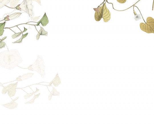 Hedera Ivy Mural Wallpaper - Image 4