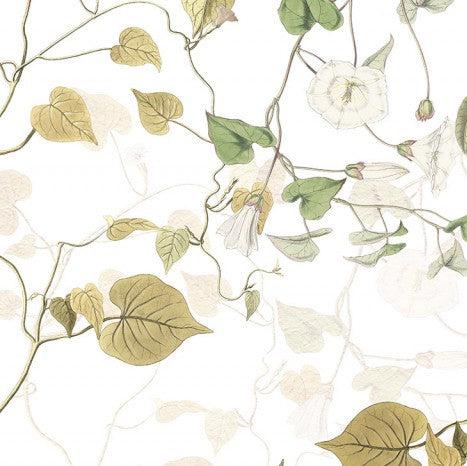 Hedera Ivy Mural Wallpaper - Image 5
