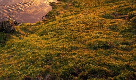 Iceland Mornings Mural Wallpaper - Image 4