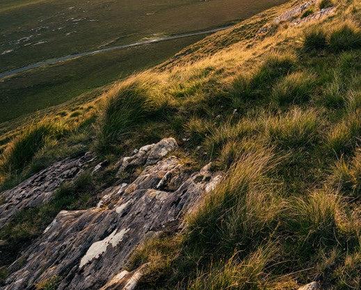 Ireland Greens Mural Wallpaper - Image 6