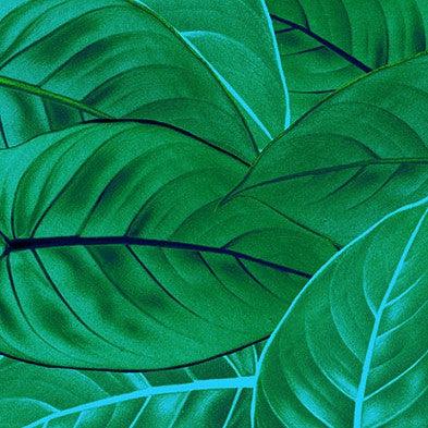 Jungle Leaves Mural Wallpaper - Image 3