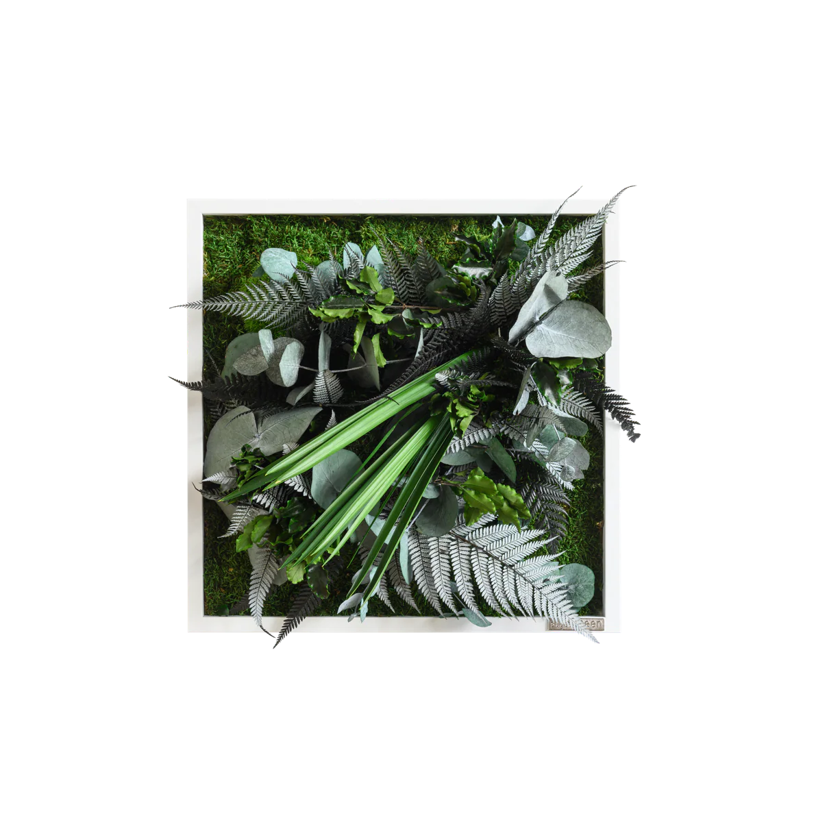 Jungle Square Plant and Moss Wall Art (35 cm)