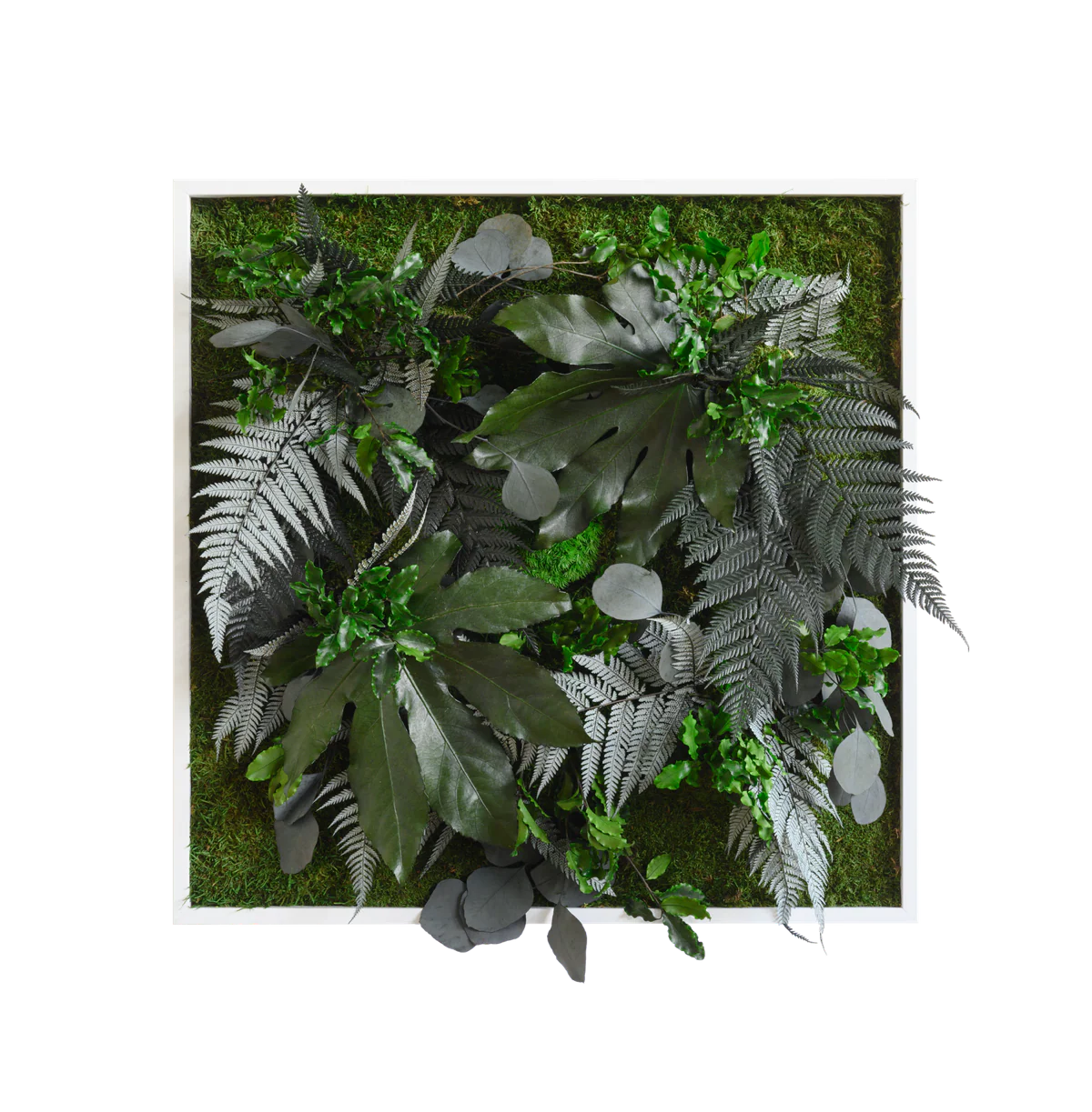 Jungle Square Plant and Moss Wall Art (55cm)