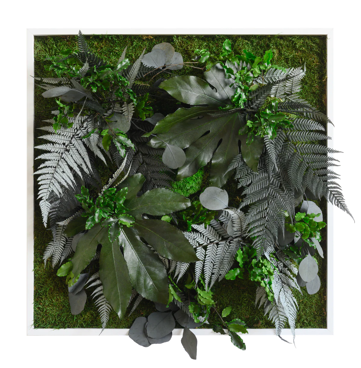 Jungle Square Plant and Moss Wall Art (55cm) - Image 2