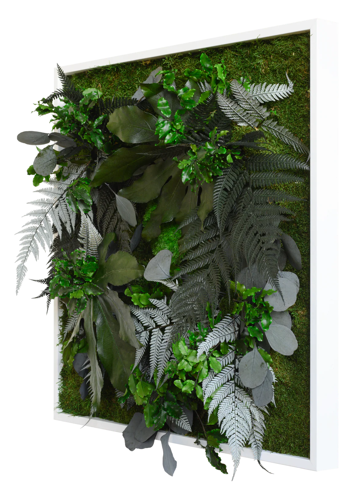 Jungle Square Plant and Moss Wall Art (55cm) - Image 3
