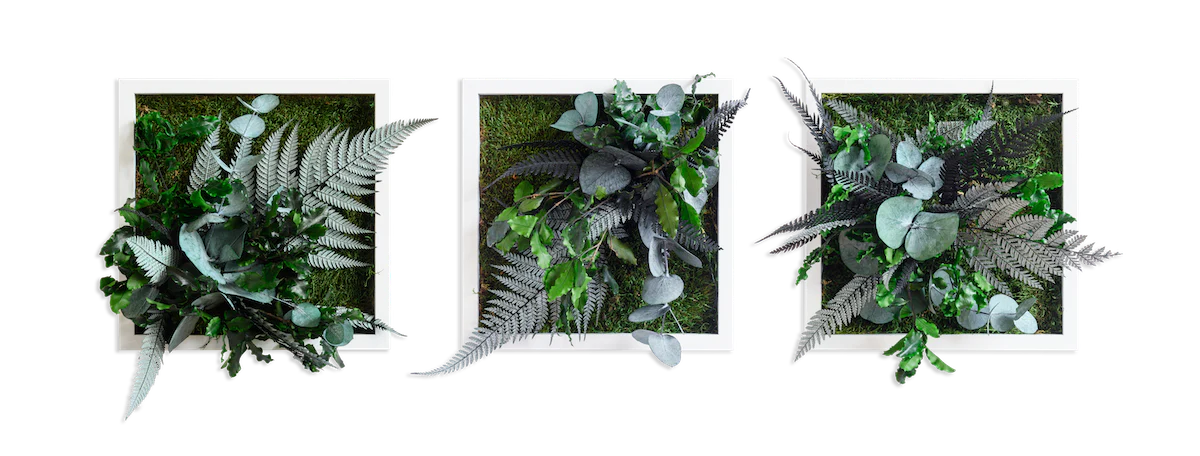 Jungle Square Set Plant and Moss Wall Art (22cm)