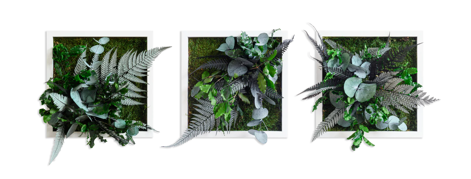 Jungle Square Set Plant and Moss Wall Art (22cm) - Image 2