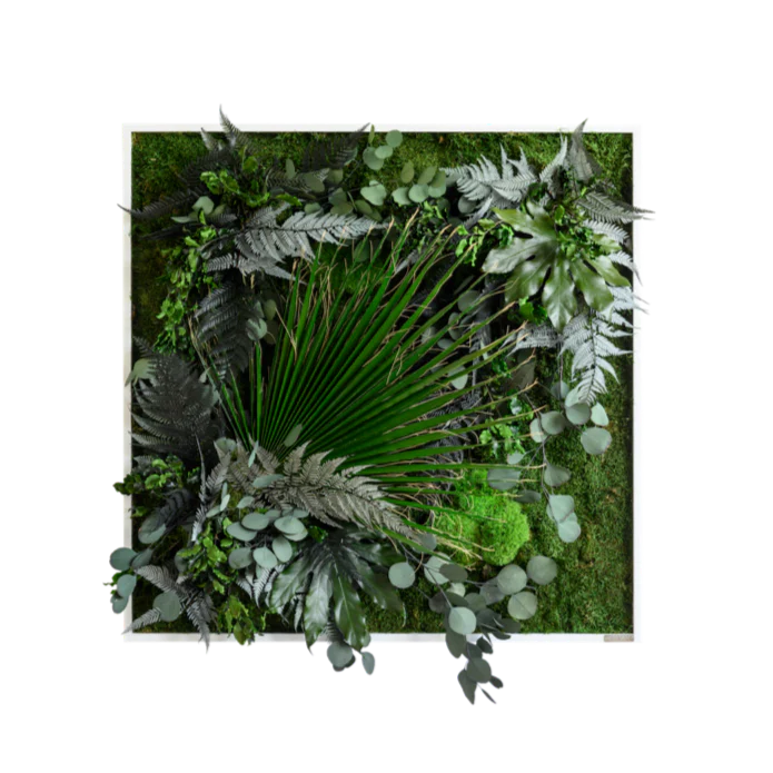 Jungle Squared Plant and Moss Wall Art (80cm)