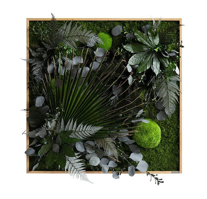 Jungle Squared Plant and Moss Wall Art (80cm) - Image 5