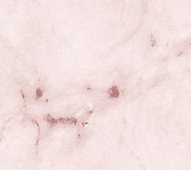 Kootenay Rose Mural Wallpaper - Image 6
