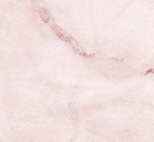 Kootenay Rose Mural Wallpaper - Image 7