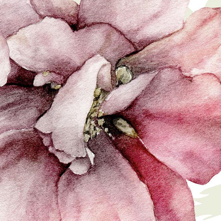 La Flor Mural Wallpaper - Image 3