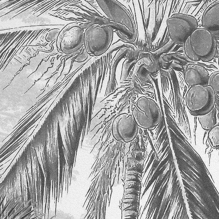 Lac Tropical Black & White Mural Wallpaper - Image 7