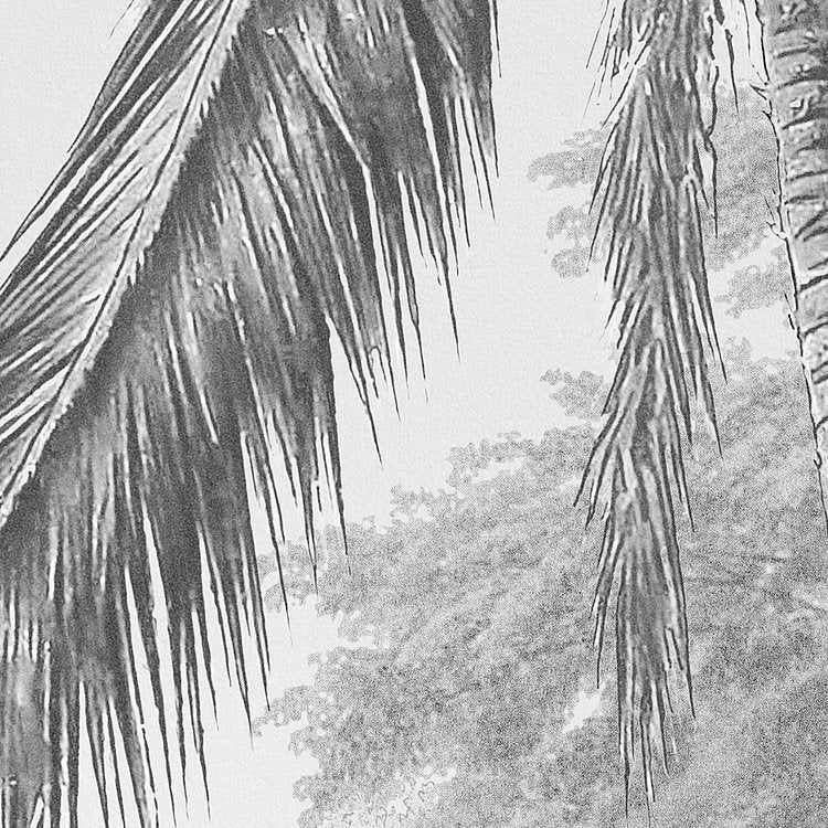 Lac Tropical Black & White Mural Wallpaper - Image 8