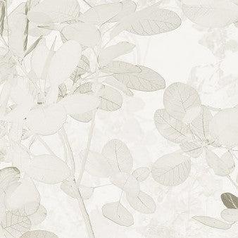 Sheer Grey Mural Wallpaper - Image 6