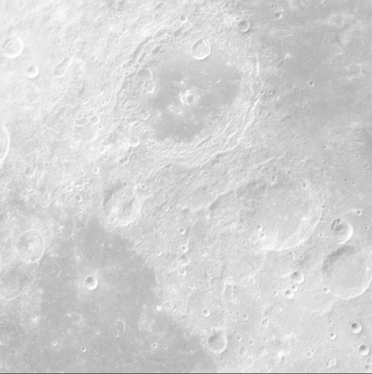 Luna Moon Circle Wallpaper (Self-Adhesive) - Image 5