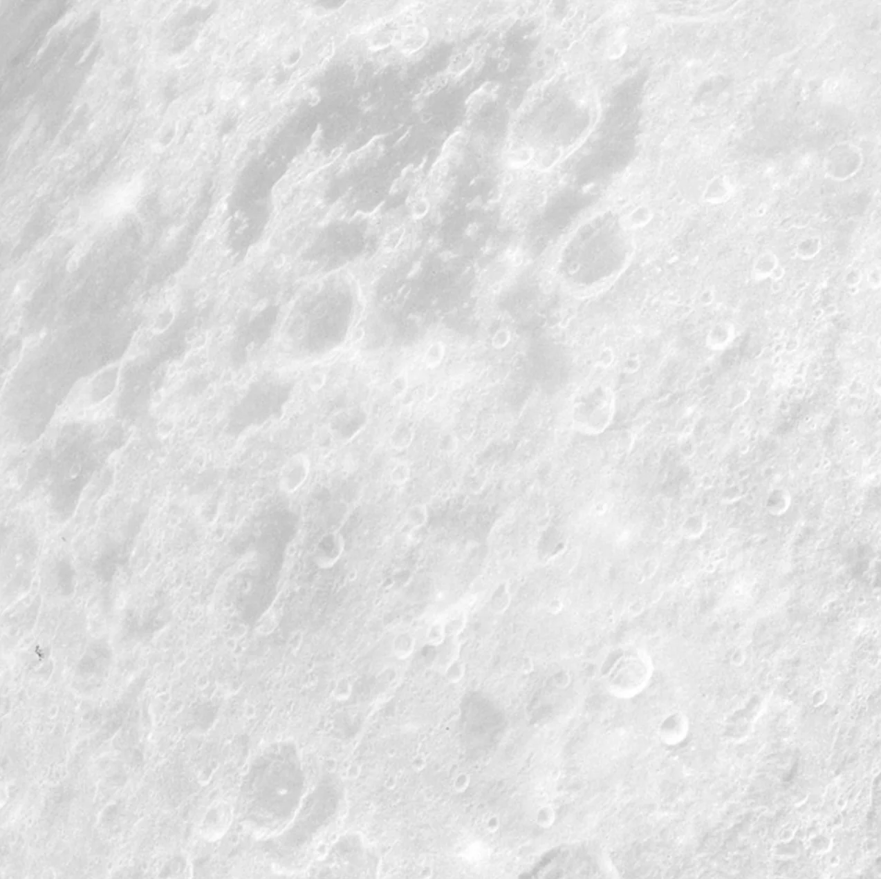 Luna Moon Circle Wallpaper (Self-Adhesive) - Image 8
