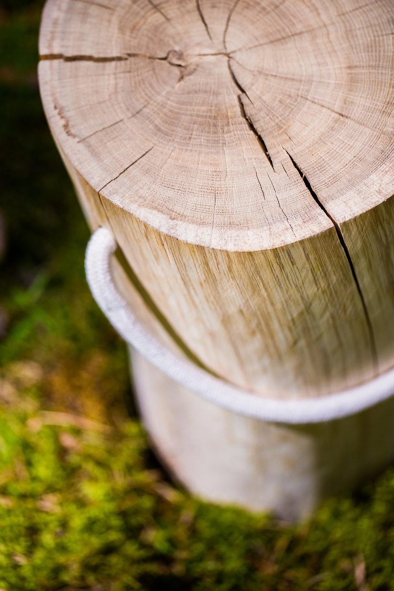 Medui Oak Log Stool - Image 3