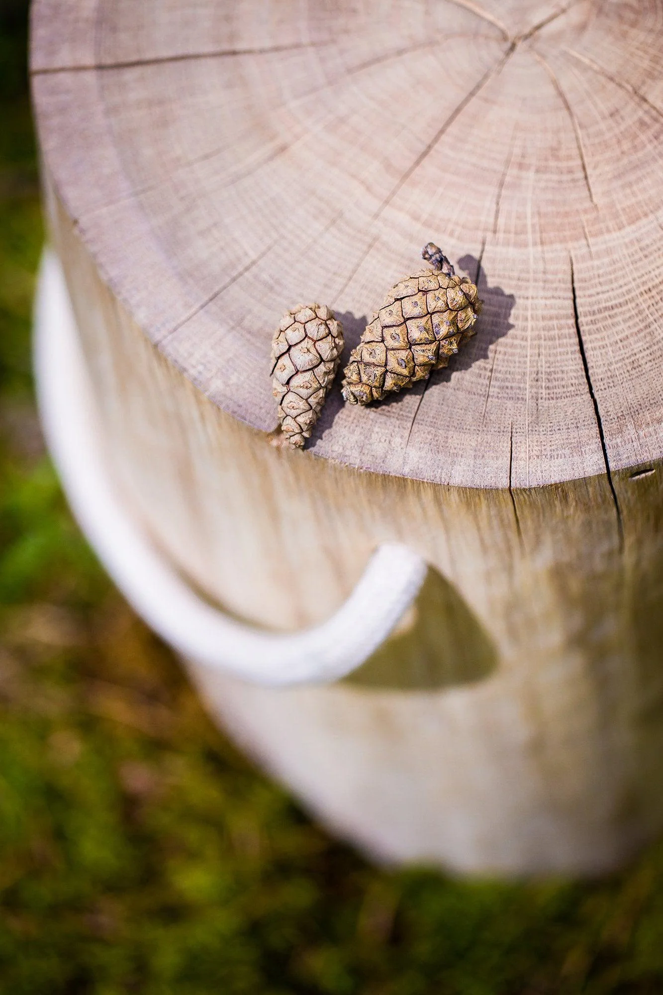 Medui Oak Log Stool - Image 4