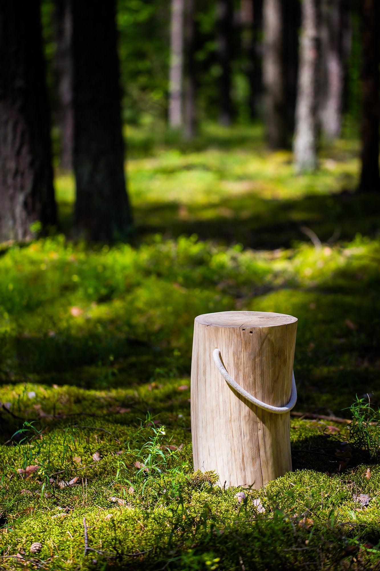 Medui Oak Log Stool - Image 5