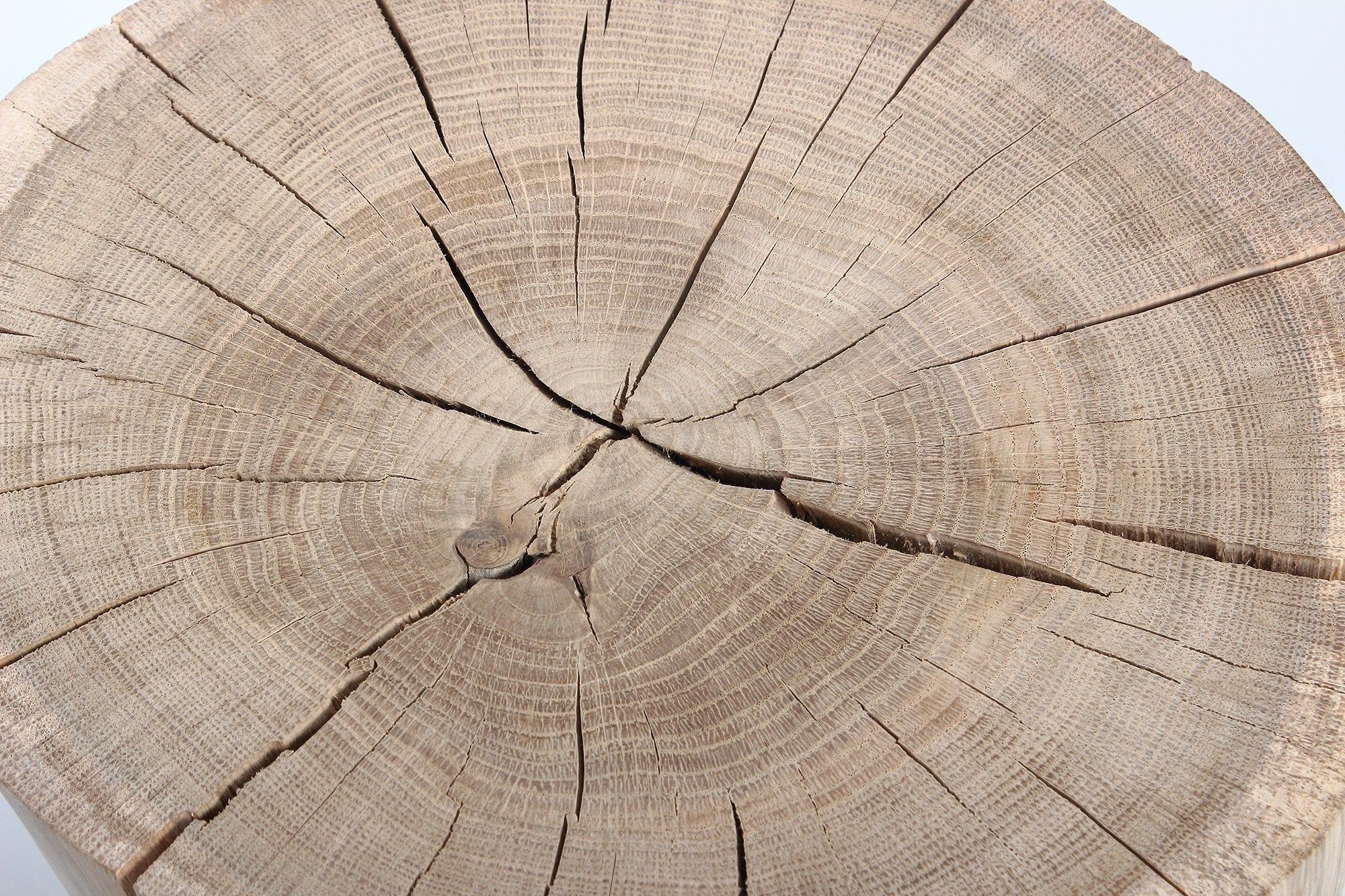 Medui Oak Log Stool - Image 6