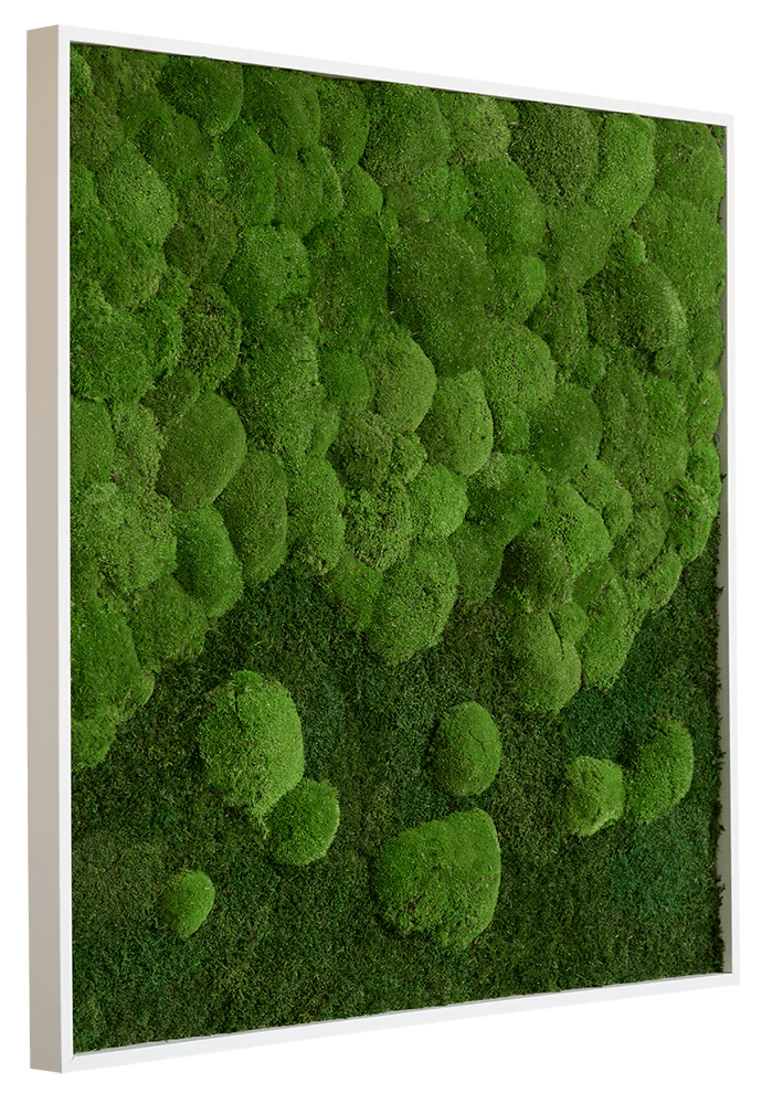Merging Square Moss Wall Art (80cm) - Image 4