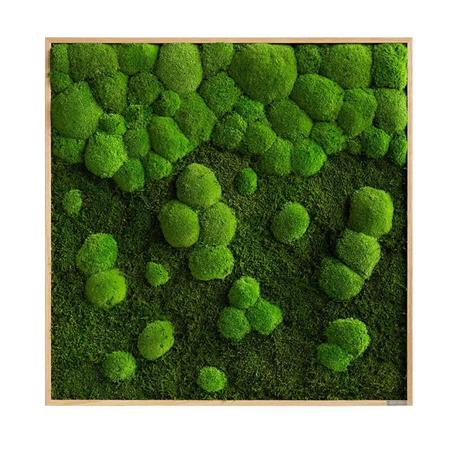 Merging Square Moss Wall Art (80cm) - Image 7