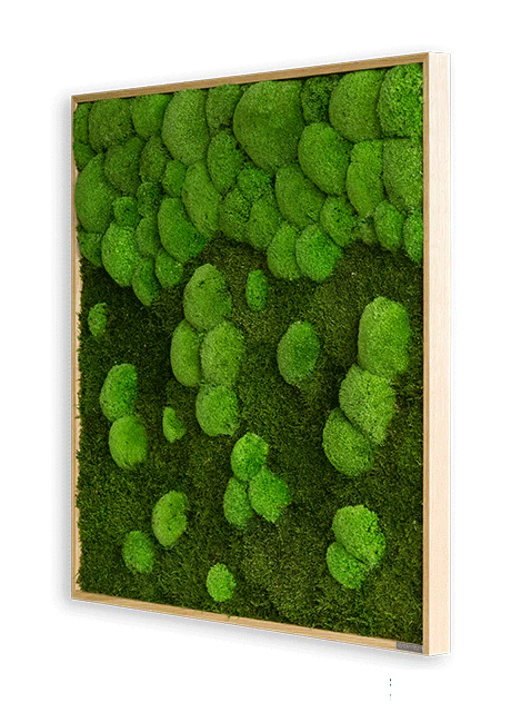 Merging Square Moss Wall Art (80cm) - Image 8