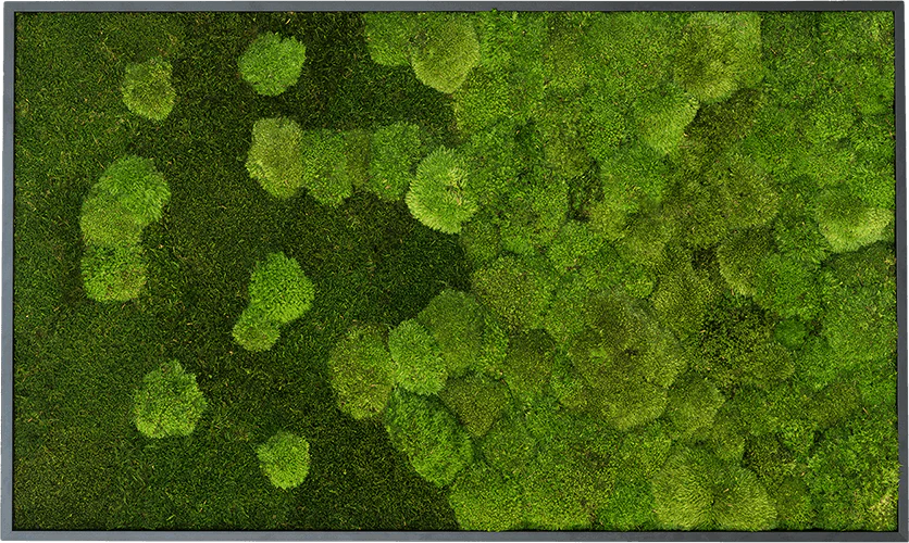 Merging Moss Green Wall Art (100x60cm)