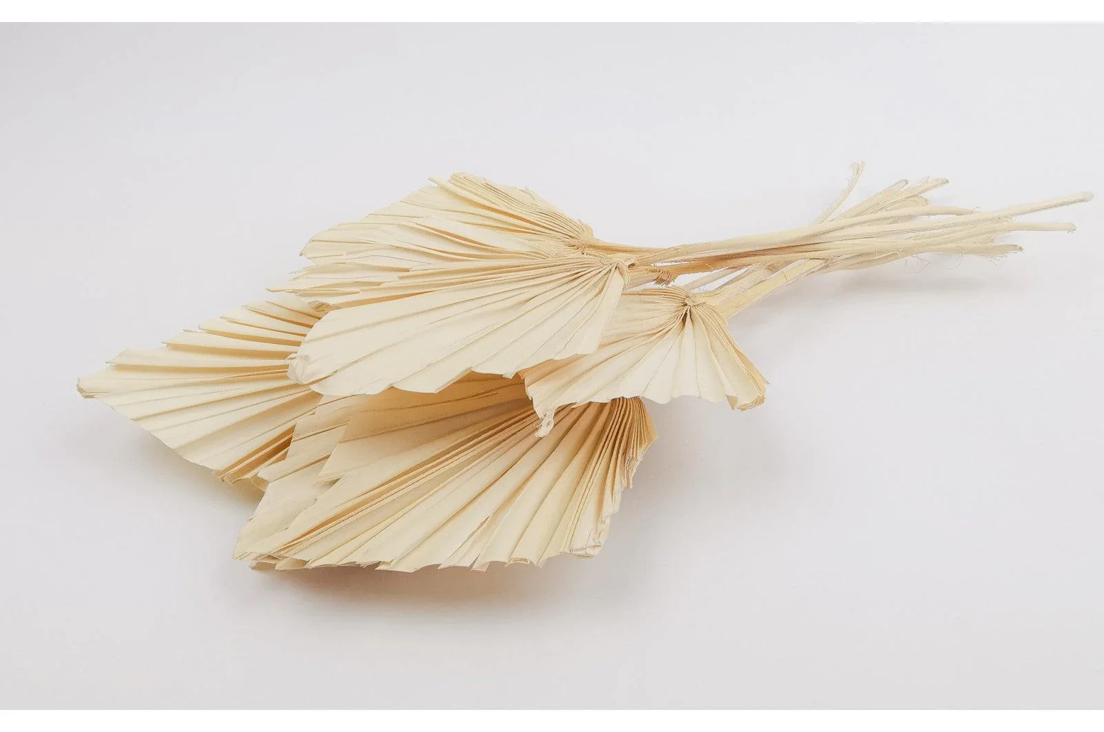 Italian White Mini Palm Spears Bouquet - Image 3