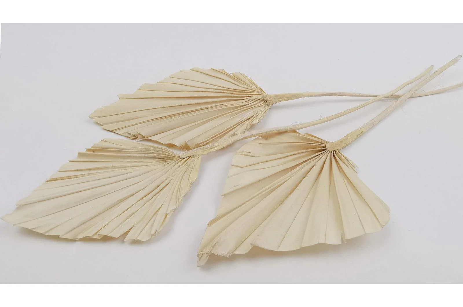 Italian White Mini Palm Spears Bouquet - Image 4
