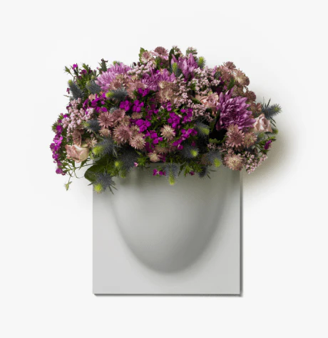Mint VertiPlant Bio Wall Container - Image 5