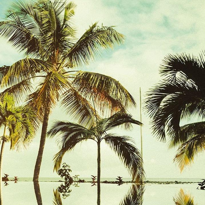 Mirror in the Palms Mural Wallpaper - Image 7