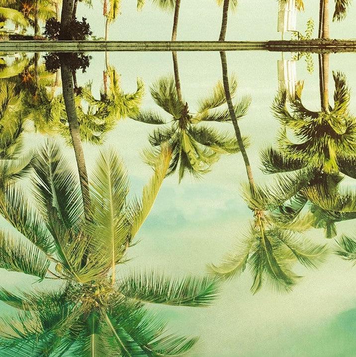 Mirror in the Palms Mural Wallpaper - Image 9