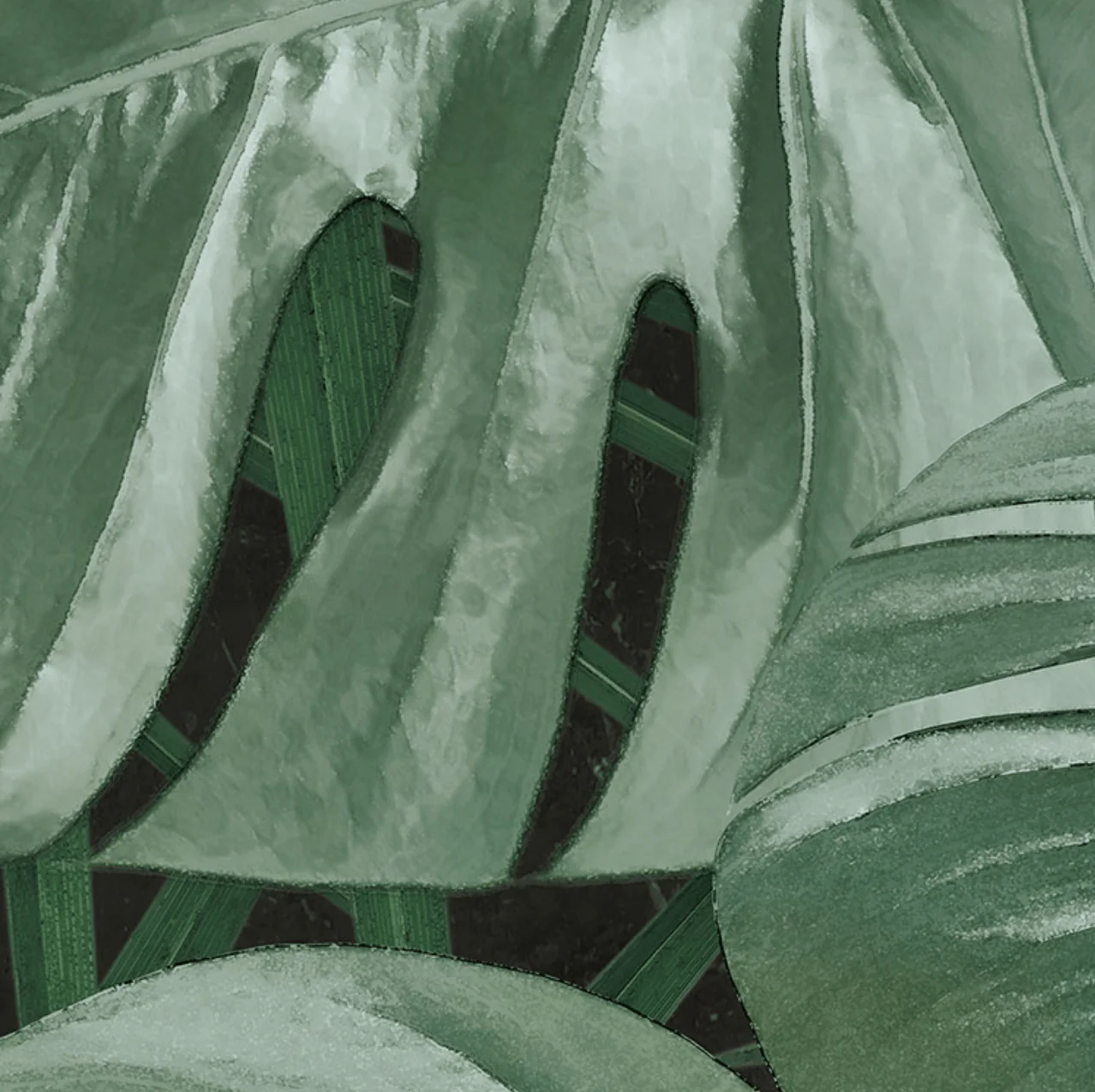 Novel Monstera Circle Wallpaper (Self-Adhesive) - Image 8